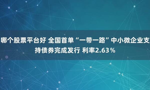 哪个股票平台好 全国首单“一带一路”中小微企业支持债券完成发行 利率2.63％