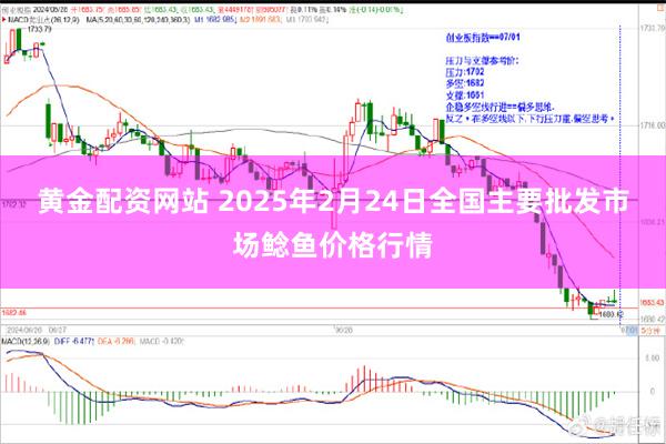 黄金配资网站 2025年2月24日全国主要批发市场鲶鱼价格行情